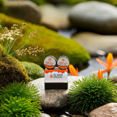 Pack of 2 Pure Himalayan Shilajit (35g)